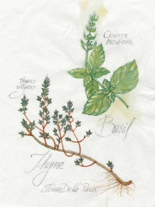 Picture of BASIL AND THYME