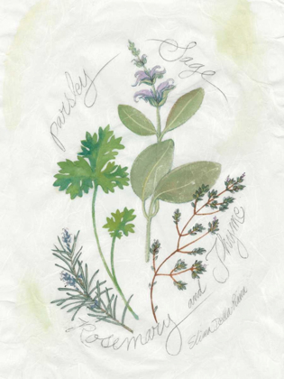 Picture of PARSLEY AND SAGE