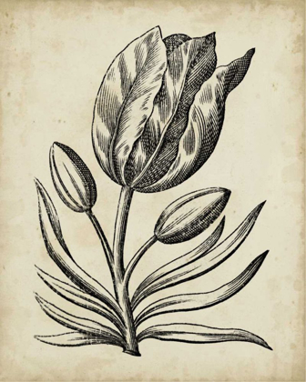 Picture of DISTINGUISHED FLORAL I