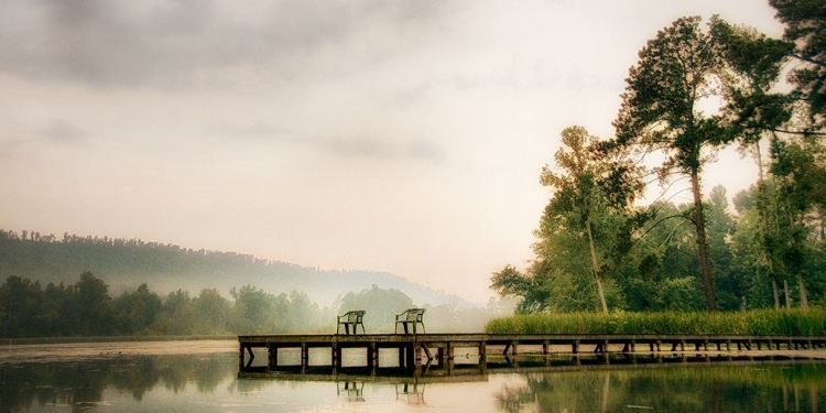 Picture of TWO GREEN CHAIRS