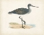 Picture of MORRIS SANDPIPER III
