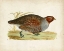 Picture of MORRIS PHEASANTS I