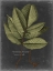 Picture of FOLIAGE DRAMATIQUE III