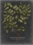 Picture of FOLIAGE DRAMATIQUE V