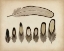 Picture of VINTAGE FEATHERS IX