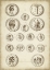 Picture of ANTIQUE ROMAN COINS IV