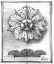 Picture of NON-EMBELLISHED DECORATIVE ORNAMENT II