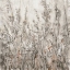 Picture of SHADOWS I