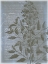 Picture of FLEUR DE BLEU I