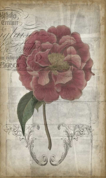 Picture of FRENCH FLORAL III