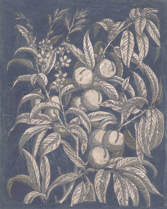 Picture of VINTAGE FRUIT AND FLORAL II