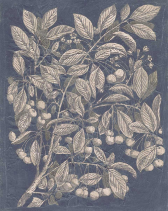Picture of VINTAGE FRUIT AND FLORAL III