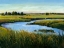 Picture of AT THE EDGE II