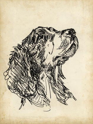 Picture of BREED STUDIES VII