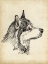 Picture of BREED STUDIES X