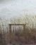 Picture of THROUGH THE DUNES I