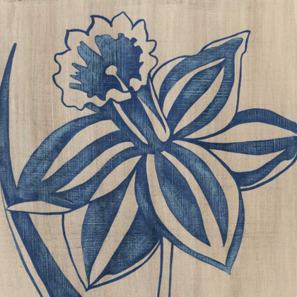 Picture of INDIGO DAFFODIL