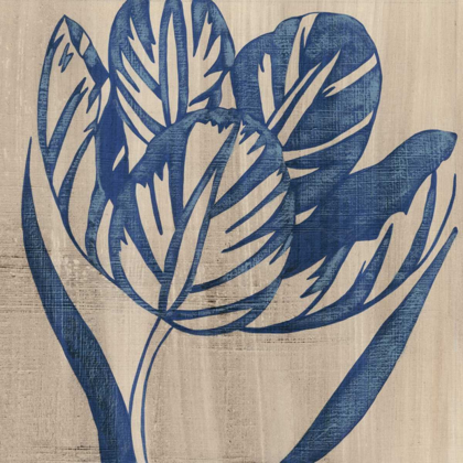 Picture of INDIGO TULIP