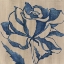 Picture of INDIGO ROSE