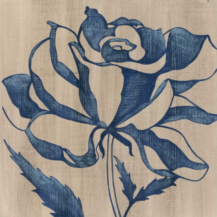 Picture of INDIGO ROSE