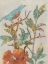 Picture of AVIARY COLLAGE I