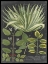Picture of DRAMATIC WEINMANN GREENERY IV