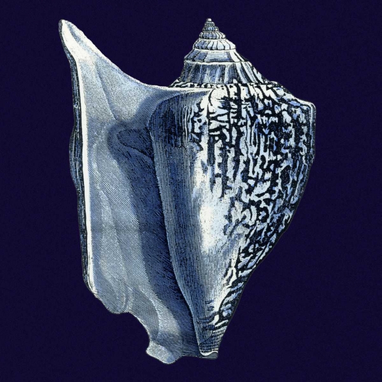 Picture of INDIGO SHELLS I