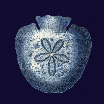 Picture of INDIGO SHELLS III