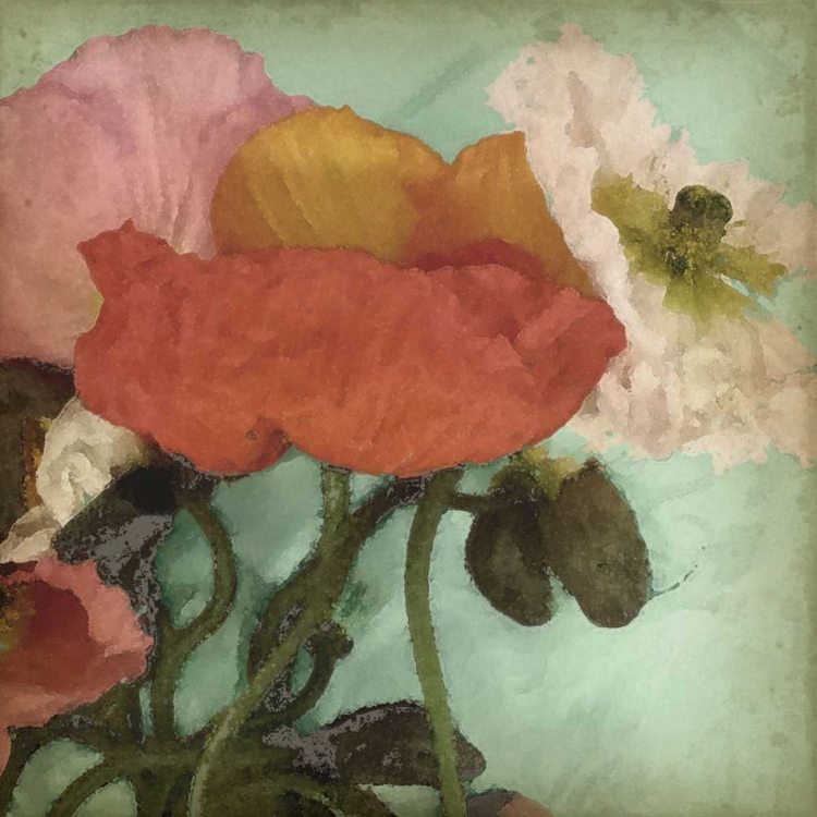 Picture of AQUATIC POPPIES II