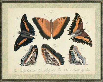 Picture of BOOKPLATE BUTTERFLIES TRIO I