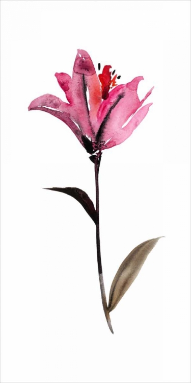 Picture of FLORAL WATERCOLOR II