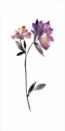 Picture of FLORAL WATERCOLOR III