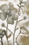 Picture of METALLIC GARDEN II