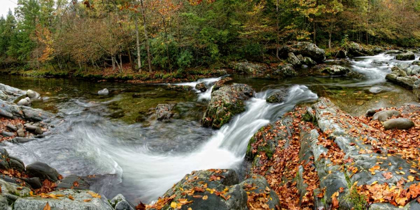 Picture of RIVER PANORAMA