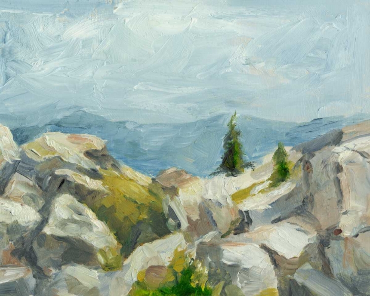 Picture of IMPASTO MOUNTAINSIDE III