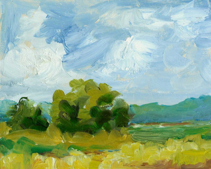 Picture of FIELD COLOR STUDY I