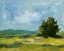 Picture of FIELD COLOR STUDY II