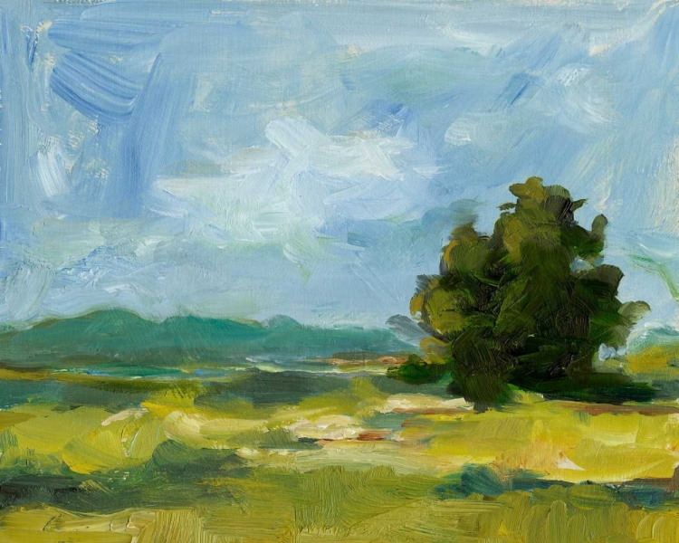 Picture of FIELD COLOR STUDY II