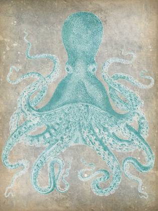 Picture of SPA OCTOPUS I