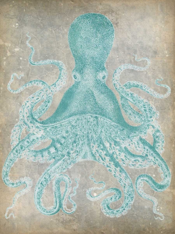Picture of SPA OCTOPUS I
