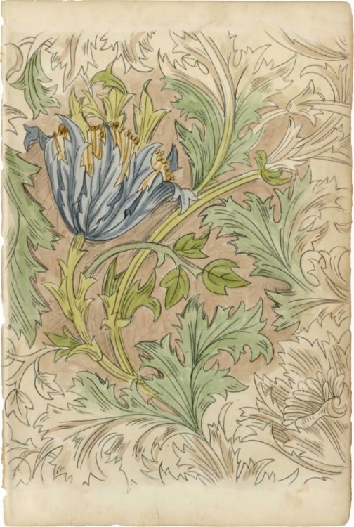 Picture of FLORAL PATTERN STUDY III