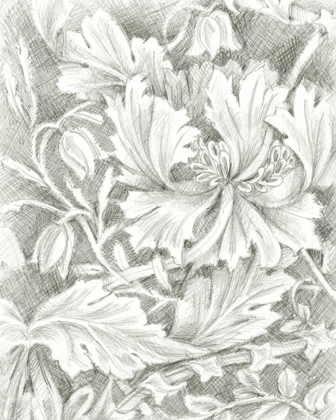 Picture of FLORAL PATTERN SKETCH I