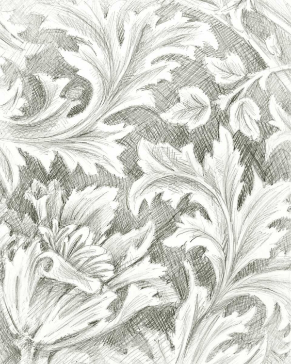 Picture of FLORAL PATTERN SKETCH II