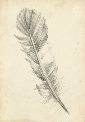 Picture of FEATHER SKETCH I