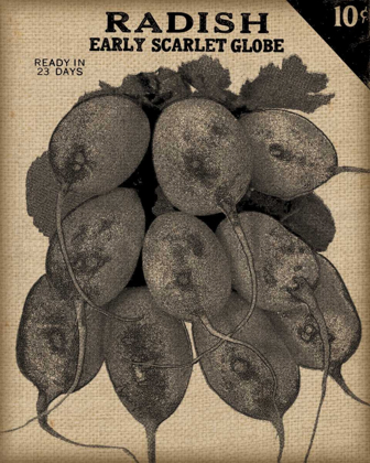 Picture of VINTAGE SEED PACK I