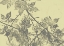 Picture of GREY LEAVES I