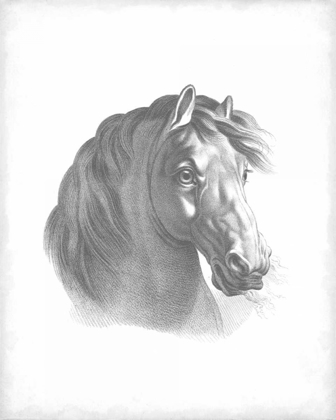 Picture of EQUESTRIAN BLUEPRINT II