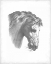 Picture of EQUESTRIAN BLUEPRINT IV