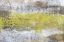 Picture of YELLOW AND GREY SERENITY II