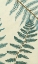 Picture of BLUE FERN TRIO II